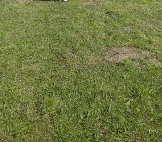 dfedb031413af11d639d6f156dbd8db1