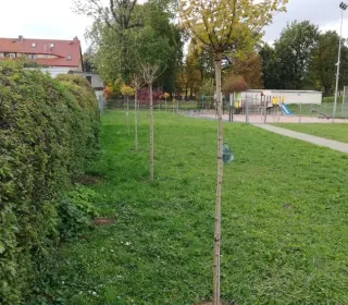 253652332 3085496065031284 795237150228161294 n (002