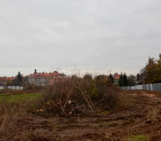  DSC360