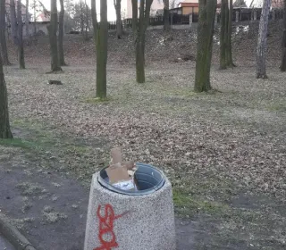 Resized 20200402 072027 4577