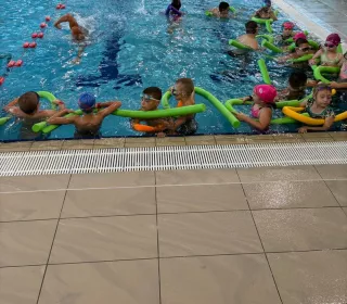 113f13c0-13c3-4db3-83d0-27b81838e5f