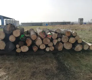 eacf170b4da99daf45ddb0ab634fe477