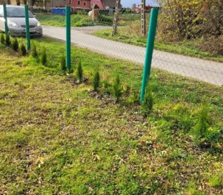 252605373 635073207903298 488963082233747080 n (002