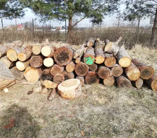 f10a83a9c490f1773590a5da3a5ad6c1