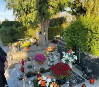 370059510 3557073434552331 5210841208376281946 