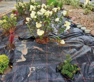 242951699 4741746685843705 5057487891539511836 n (002