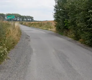  DSC219