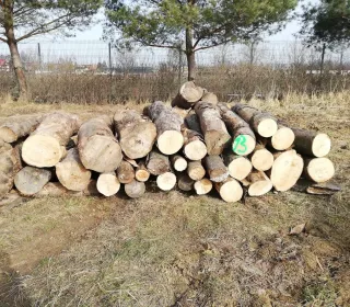 fed37a85c2c1c36921ab965a321cffaa