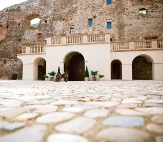 56742582 261562618082778 2926798244019175424 