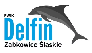 delfin logo