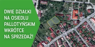 PALLOTYNSKIE KAFELEK