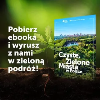 grafika na kafelek do newsa