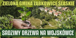 sadzenie na wosjkowce kafelek