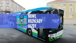 Baby Taylor Finn (1)