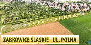 Polna wszystkie — kopia