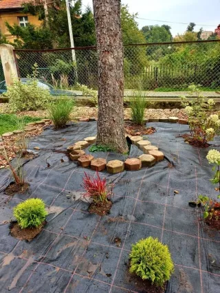 245287780_4741748889176818_2604847748551995366_n (002)