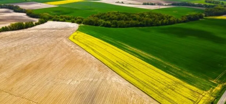 1DJI_0495 obróbka 1