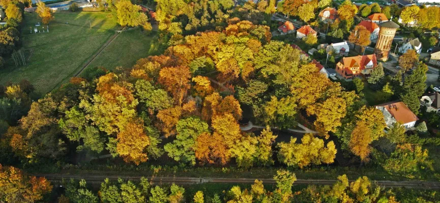 DJI_0376 park z oczkiem wodnym