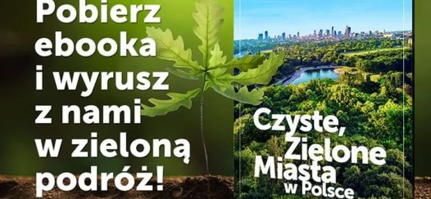 grafika na kafelek do newsa