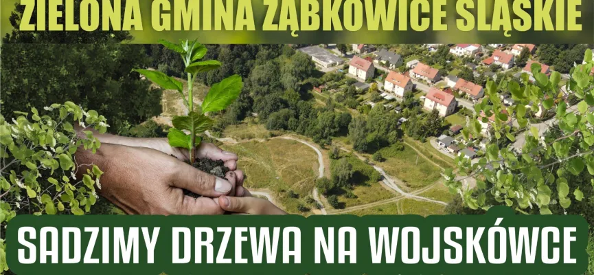 sadzenie na wosjkowce kafelek