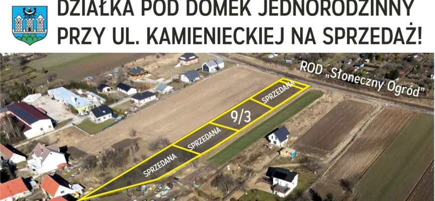 Kamieniecka kafelek 04