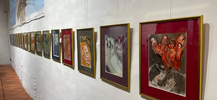 WhatsApp Image 2024-08-05 at 08