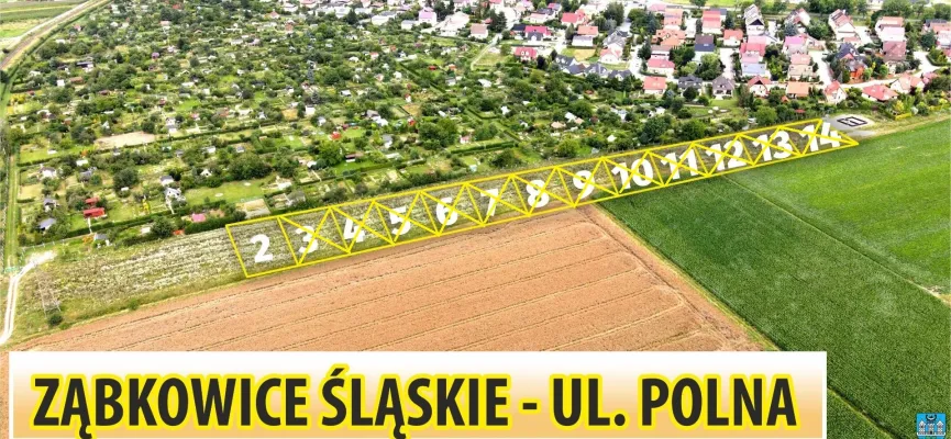 Polna wszystkie — kopia