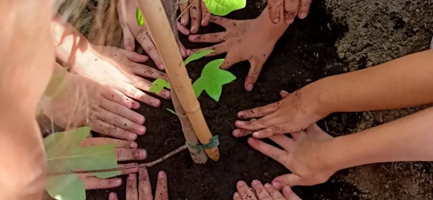 288740057_538718824661594_2346972222342375881_n