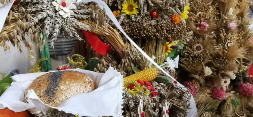 241013072_976205163174221_6402747612111670670_n