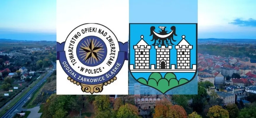 Projekt bez tytułu (3)