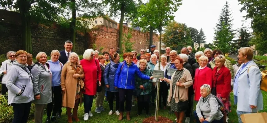 242689842_4542482319145586_6966431562318066028_n