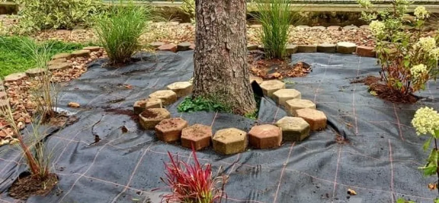 245287780_4741748889176818_2604847748551995366_n (002)