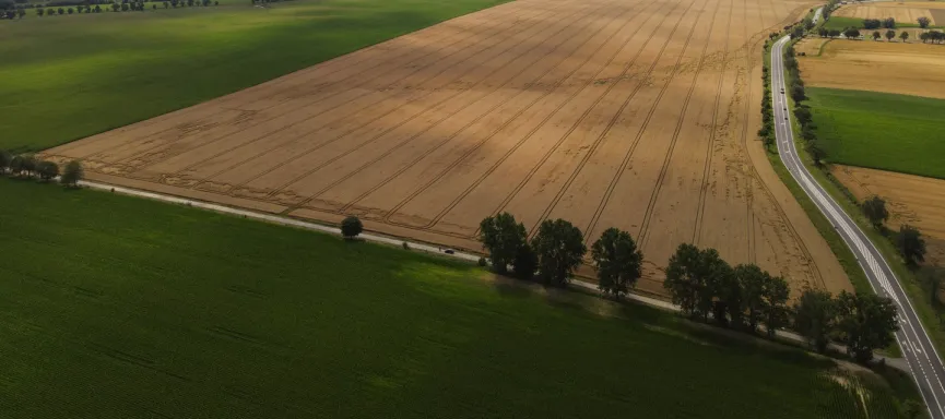 DJI_0029