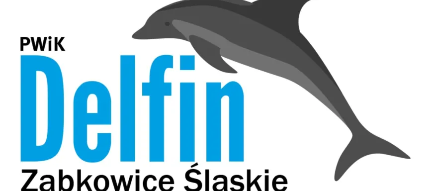 delfin logo