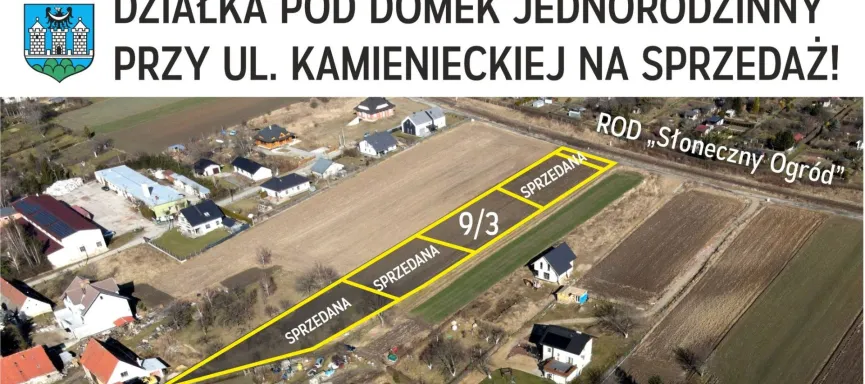 Kamieniecka kafelek 04