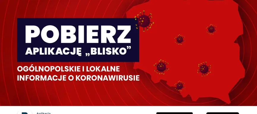 grafika_WEB