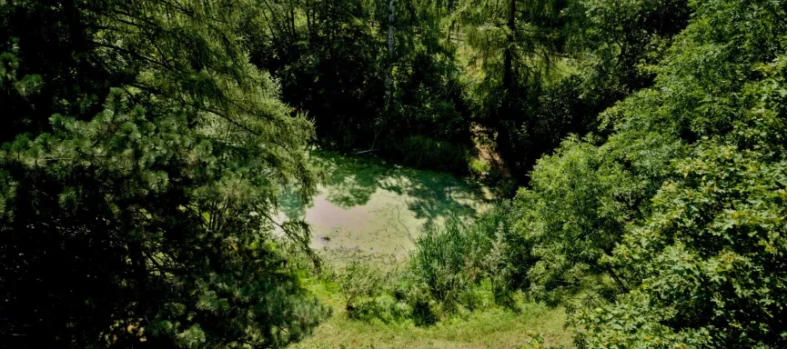 park z oczkiem